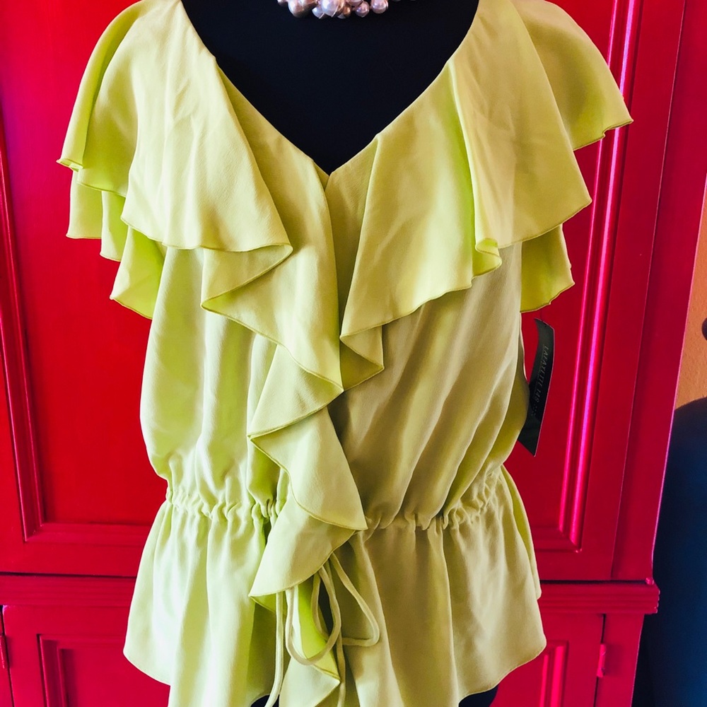 NWT BEAUTIFUL silk Lafayette 148 top